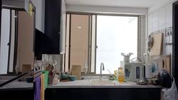 Parc Vista (D22), Condominium #454341651